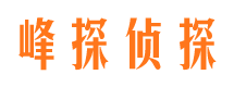 淄川侦探